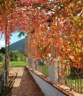 Nocera Inferiore Cama Y Desayuno | Villa Nasti Luxury Bed Taurasi Room