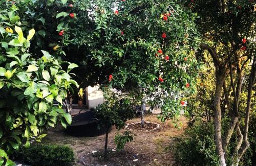 Yalikavak Cama Y Desayuno | Villa No 5