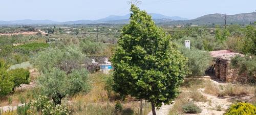 Cálig Cama Y Desayuno | Villa Pardalot