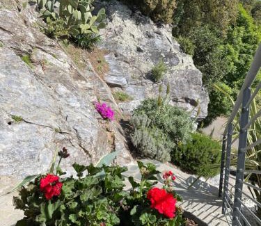 Valle-de-Campoloro Casa | Villa Petrera