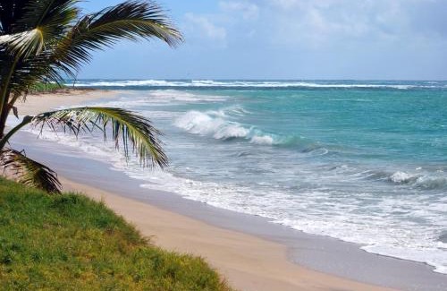Vieux Fort Villa | Villa Pierre