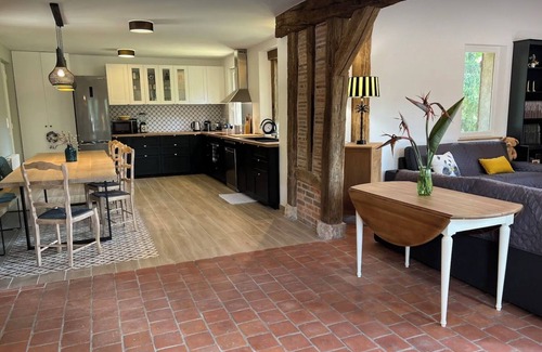 Villefranche-sur-Cher Casa | Villa Pinède: Beauval Zoo, Castles, heated swimming pool.