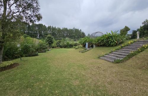 Cimacan Cabina | Villa Pine Hill Coolibah