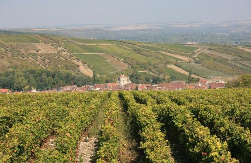 Escolives-Sainte-Camille Cama Y Desayuno | Villa Rose