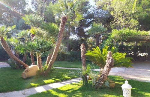 Rosa Marina Villa | Villa Rosa Marina a 100 metros del mar