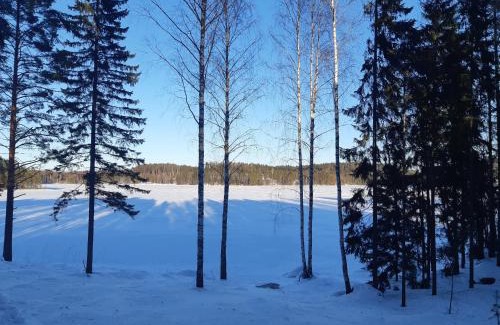 Lotjola Casa | Villa Saimaa