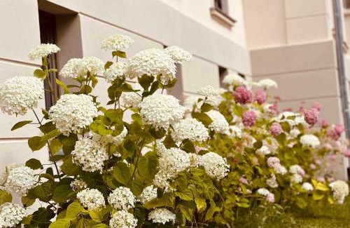 Hohennauen Apartamento | Villa Schuwardt auf Nordend