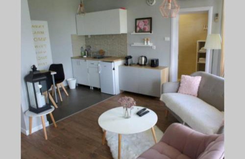 Stari Banovci Villa | Villa Smestaj Dunav