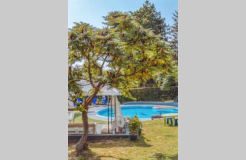 Stari Banovci Villa | Villa Smestaj Dunav