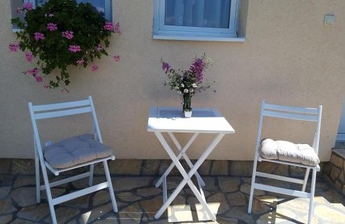 Lisina Apartamento | Villa Snow Queen Kopaonik