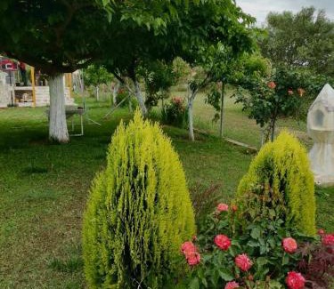 Pangaio Casa | Villa Sophie