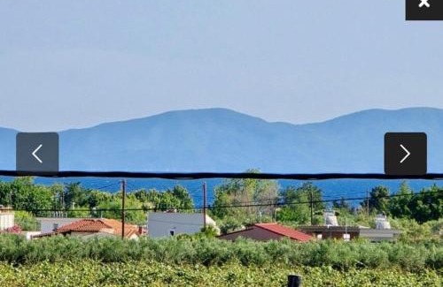 Pangaio Casa | Villa Sophie