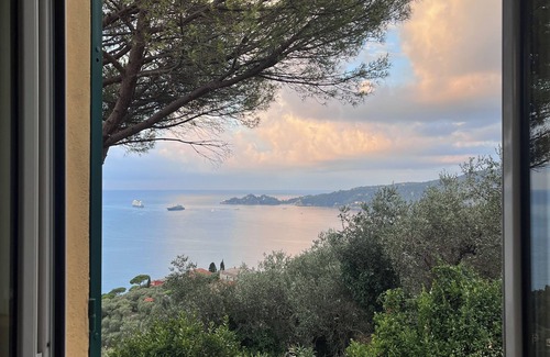 Zoagli Villa | Villa rodeada de vegetación con vistas al mar sobre el Golfo de Portofino