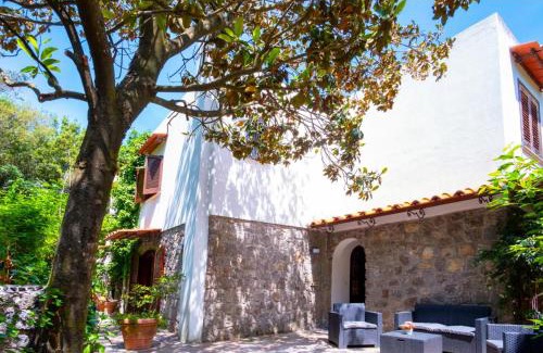 Ischia Porto Cama Y Desayuno | Villa Talia Sweet Rooms B&B