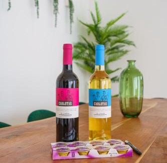 Atalaia Villa | Villa Tropical with jacuzzi and private swimming pool