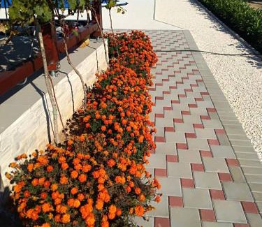 Velim Villa | Villa Verbena