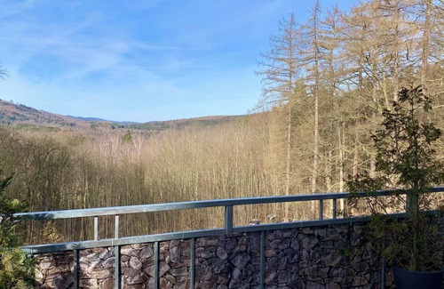 Friedrichroda Condominio | Villa Warzenburg, apartamento 2 con vista panorámica en el bosque de Turingia, incl. Fi.