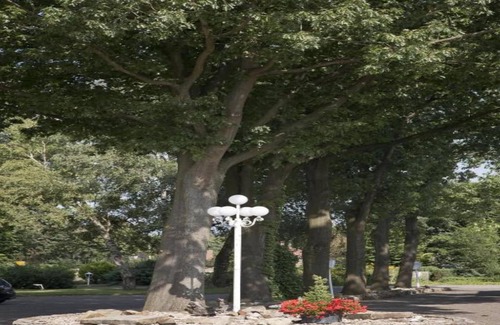 Bad Bentheim Villa | Villa con escapada al jardín