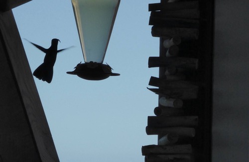Bouillante Villa | Villa con piscina privada, vistas espectaculares del mar y las islas de la paloma