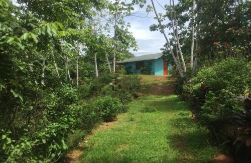 Bahía Drake Cabina | Villa with primary forest view
