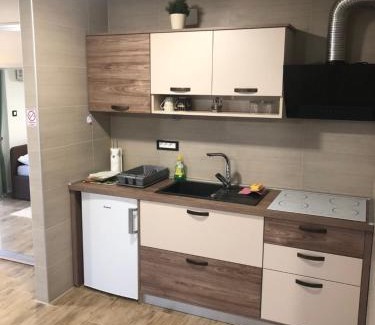 Zagreb Casa | Villa Zoki - soba dnevni najam