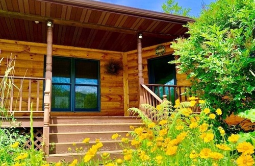 Lansing Cabina | Village Creek Lodge 7 bedrooms, Hot Tub, Pool, & Large Fishing Pond