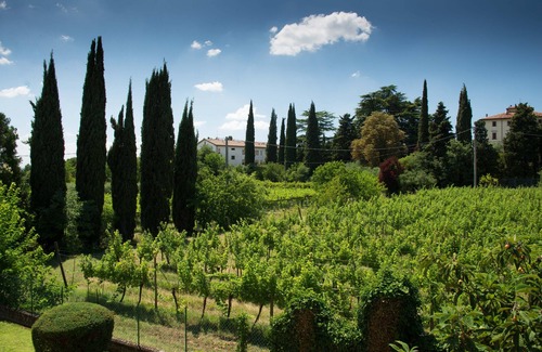 Colà Di Lazise Apartamento | Villetta Sol de Cola en el lago Garda