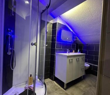 Perralliere Apartamento | Villeurbanne FLACHET