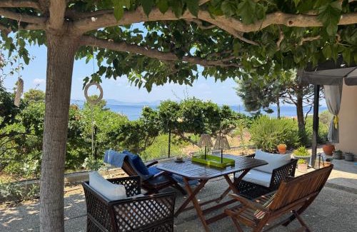 Vagia Casa | Villieta Marina