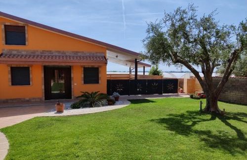 Lido dei Pini Apartamento | villino Andrea