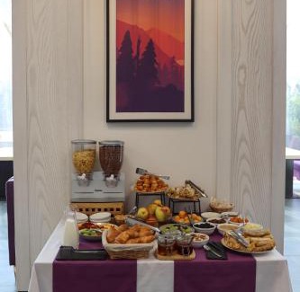 Bukovel Hotel | VILSON hotel