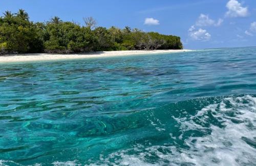 Hanimaadhoo Hotel | Viluveli Holiday Retreat -FREE Domestic Flight Return ticket for stay over 5 nights -offer Valid till January 15th 2026