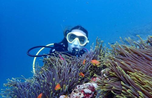 Hanimaadhoo Hotel | Viluveli Holiday Retreat -FREE Domestic Flight Return ticket for stay over 5 nights -offer Valid till January 15th 2026