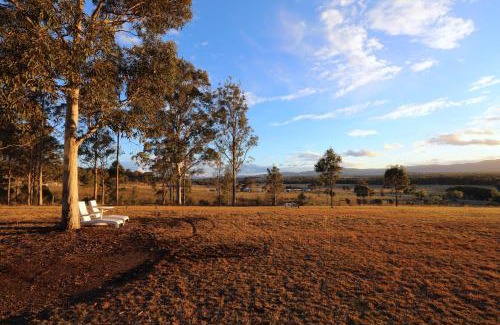 Lovedale Complejo | Vineyard Hill