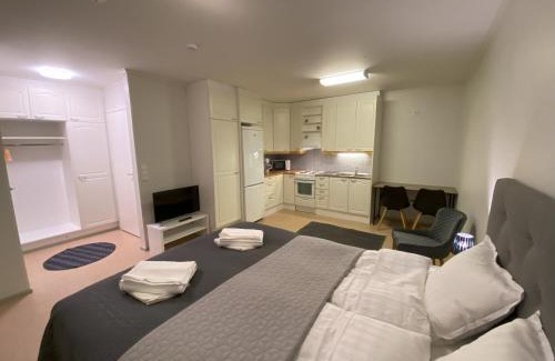 Kauhajoki Apartamento | Vinkkeli, Kalustettu 1H+Sauna, Kauhajoki, Päntäne
