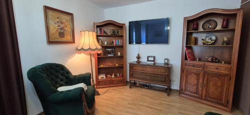 Tirgu Jiu Apartamento | Vintage Central Apartament