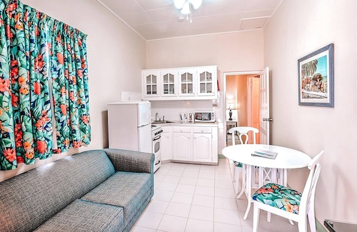 Worthing Hotel | Visit Animal Flower Cave! Exquisite Unit w/ Balcony & Kitchenette! Parking, Pool