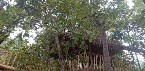 Habarana Casa | VISU VILLA hotel