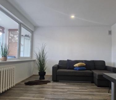 Druskininkai Apartamento | VK Duplex Apartment