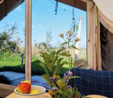 Hazerswoude-Dorp Otro | Voedselbos Camping Koperwiek