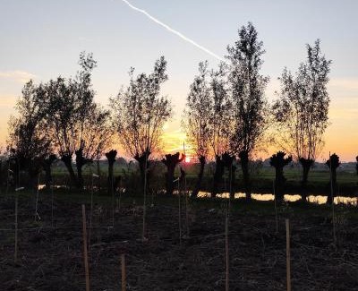 Hazerswoude-Dorp Otro | Voedselbos Camping Koperwiek