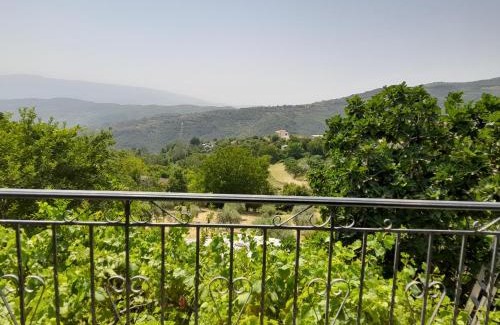 Berat Casa | Vojfarm