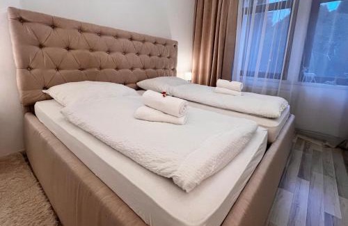 Crimmitschau Apartamento | Vollausgestatte Ferienwohnung für 5 Personen