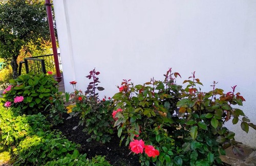 Plyos Casa | Voskresenskaya Dacha