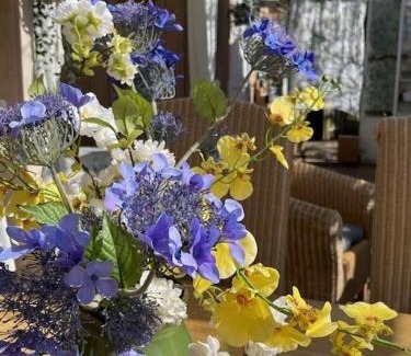 Hank Casa | Vrijstaande accommodatie Glamping de Kas InN