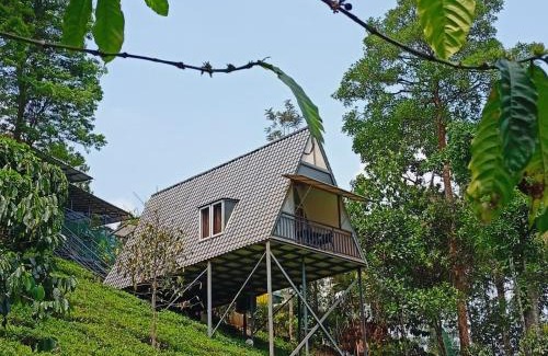 Vythiri Casa | Vythiri Stream View