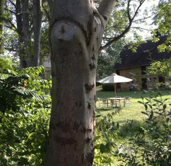 Mugeln Apartamento | Wachsmuts gemütliche Bleibe mir alter Wandmalerei