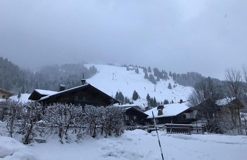 Hinterthal Apartamento | Wachtelhof Apartment