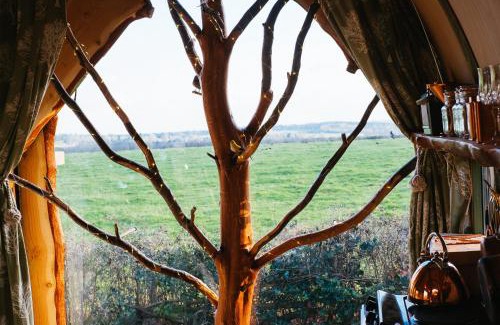 Alton Cabina | Wagon & the Wigwam