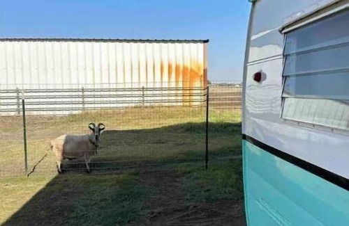 Sanger Casa | Wagon Wheel Ranch Cowboy Camper.